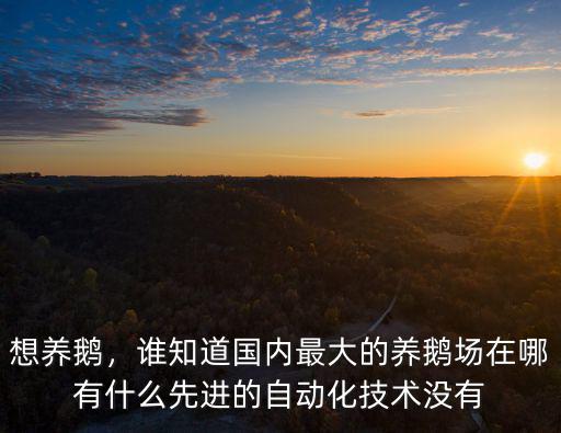 想養鵝，誰知道國內最大的養鵝場在哪有什么先進的自動化技術沒有