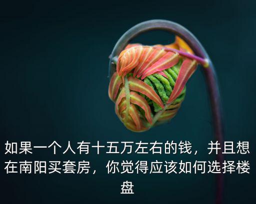如果一個人有十五萬左右的錢，并且想在南陽買套房，你覺得應該如何選擇樓盤