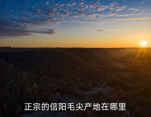 正宗的信陽毛尖產地在哪里