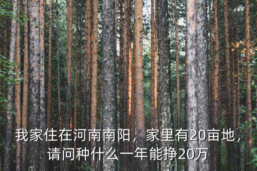 南陽地區(qū)哪里有山羊種,在河南南陽地區(qū)