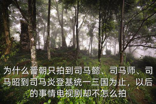 為什么晉朝只拍到司馬懿、司馬師、司馬昭到司馬炎登基統(tǒng)一三國(guó)為止，以后的事情電視劇卻不怎么拍
