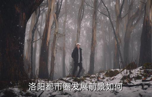 洛陽都市圈發展前景如何