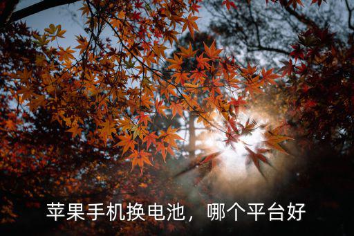 蘋果手機換電池，哪個平臺好