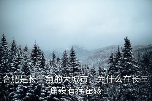 合肥是長三角的大城市，為什么在長三角沒有存在感