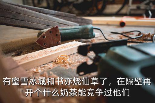 在商丘開一家蜜雪冰城需要多少錢,開家蜜雪冰城多少錢