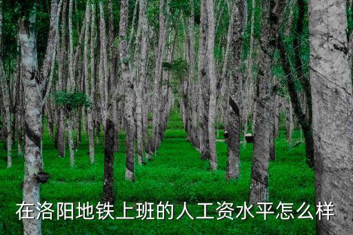 在洛陽(yáng)地鐵上班的人工資水平怎么樣