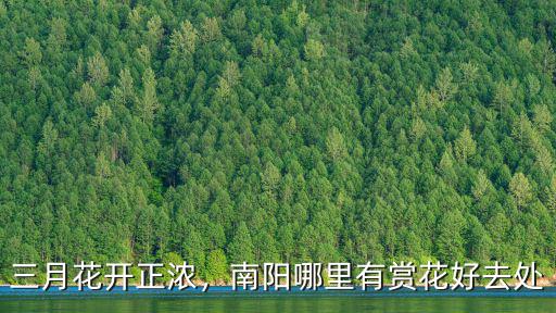 河南南陽哪里有海,南陽哪里有賞花好去處