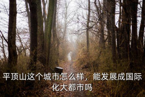 平頂山這個城市怎么樣，能發(fā)展成國際化大都市嗎