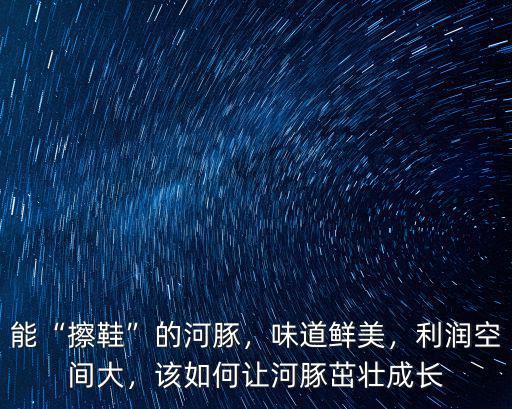 能“擦鞋”的河豚，味道鮮美，利潤空間大，該如何讓河豚茁壯成長