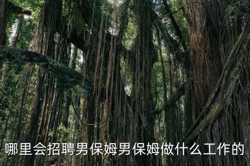 哪里會招聘男保姆男保姆做什么工作的