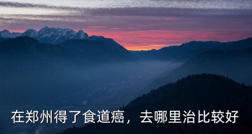 在鄭州得了食道癌，去哪里治比較好