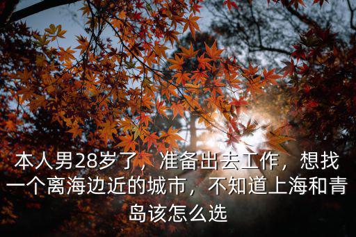 青島與新鄉怎么選,不知道上海和青島該怎么選