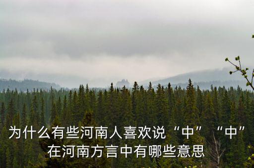 為什么有些河南人喜歡說“中”“中”在河南方言中有哪些意思