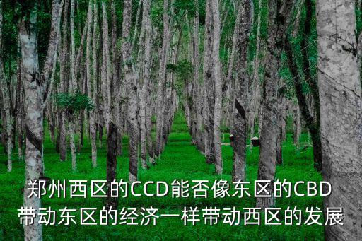 鄭州西區(qū)的CCD能否像東區(qū)的CBD帶動?xùn)|區(qū)的經(jīng)濟一樣帶動西區(qū)的發(fā)展