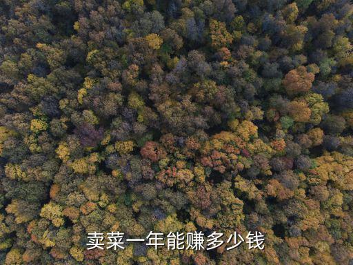 賣菜一年能賺多少錢