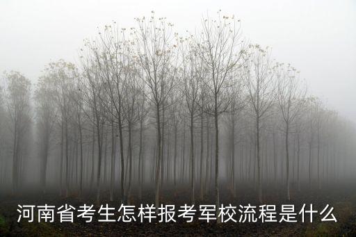 河南省考生怎樣報考軍校流程是什么