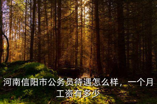 信陽市公務員工齡工資多少錢一年,一個月工資有多少