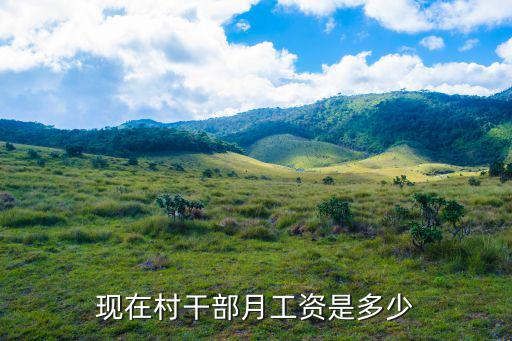 現(xiàn)在村干部月工資是多少