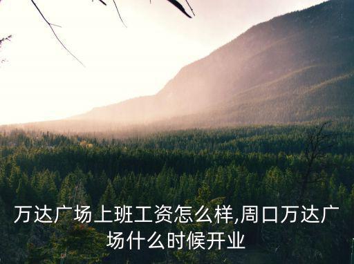 周口萬達廣場上班工資怎么樣,周口萬達廣場什么時候開業