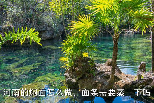 河南的燜面怎么做，面條需要蒸一下嗎
