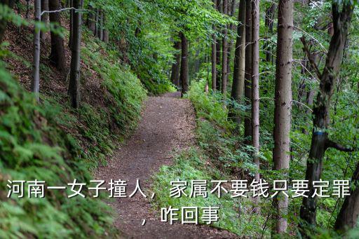 河南一女子撞人，家屬不要錢只要定罪，咋回事