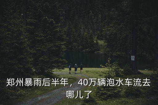 鄭州暴雨后半年，40萬輛泡水車流去哪兒了