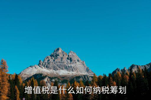 開封增值稅納稅籌劃怎么樣,如何納稅籌劃