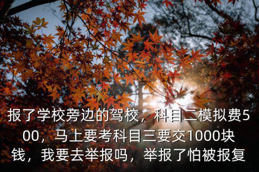 報了學校旁邊的駕校，科目二模擬費500，馬上要考科目三要交1000塊錢，我要去舉報嗎，舉報了怕被報復