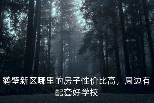 鶴壁新區(qū)哪里的房子性價(jià)比高，周邊有配套好學(xué)校