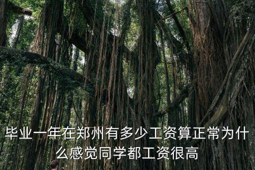 畢業(yè)一年在鄭州有多少工資算正常為什么感覺同學(xué)都工資很高