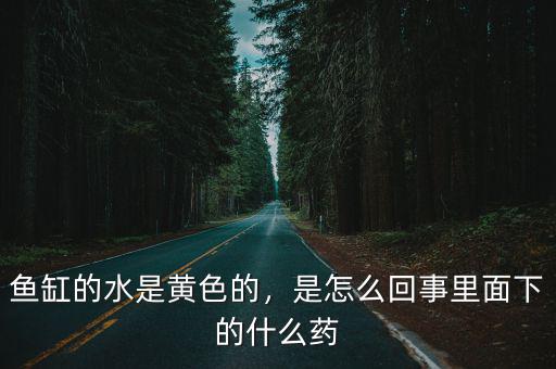 魚缸的水是黃色的，是怎么回事里面下的什么藥