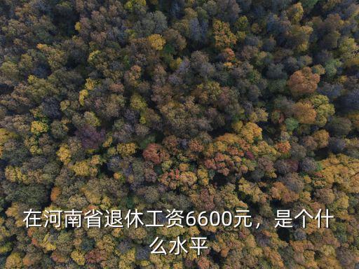 河南省銀行工資多少,在河南省退休工資6600元