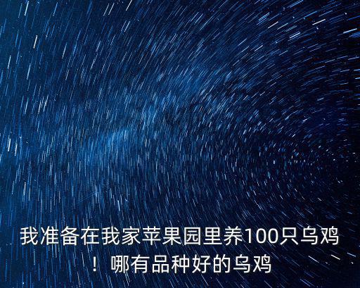 我準備在我家蘋果園里養(yǎng)100只烏雞！哪有品種好的烏雞