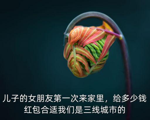 周口女方第一次來(lái)家里給多少紅包,給多少錢(qián)紅包合適