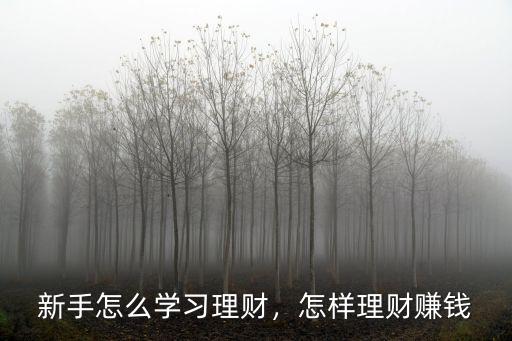 新手怎么學(xué)習(xí)理財(cái)，怎樣理財(cái)賺錢