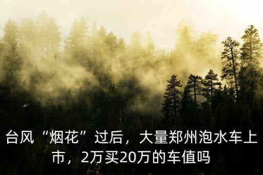 臺(tái)風(fēng)“煙花”過(guò)后，大量鄭州泡水車(chē)上市，2萬(wàn)買(mǎi)20萬(wàn)的車(chē)值嗎
