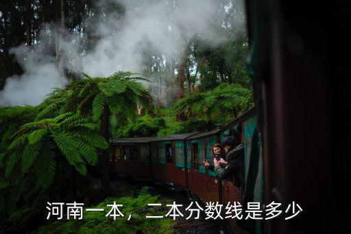 河南一本二本三本各是多少分,二本分數線是多少