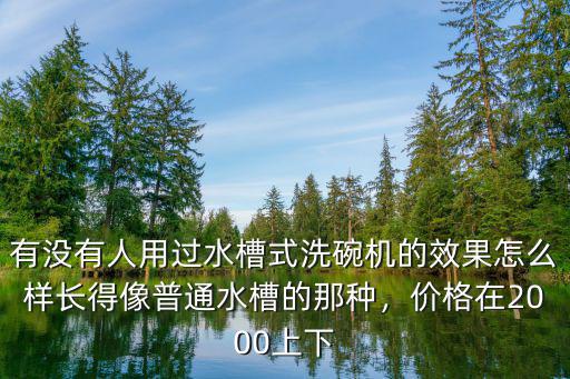 有沒(méi)有人用過(guò)水槽式洗碗機(jī)的效果怎么樣長(zhǎng)得像普通水槽的那種，價(jià)格在2000上下