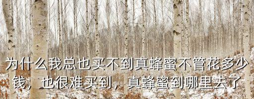 在河南哪里能買到真蜂蜜,真蜂蜜到哪里去了