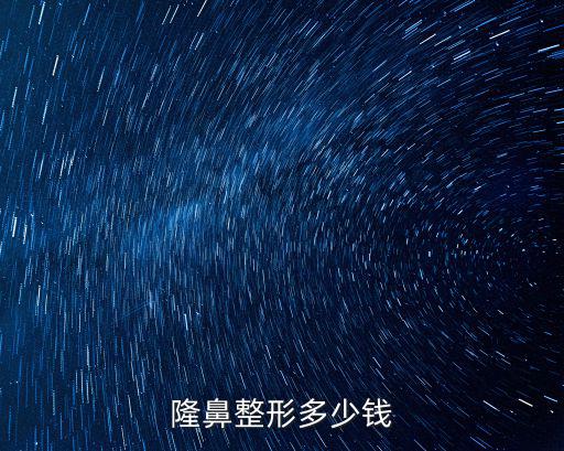 隆鼻整形多少錢