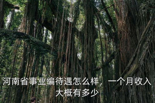 河南省事業編待遇怎么樣，一個月收入大概有多少