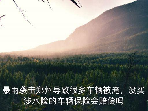 暴雨襲擊鄭州導致很多車輛被淹，沒買涉水險的車輛保險會賠償嗎