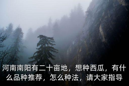 河南南陽有二十畝地，想種西瓜，有什么品種推薦，怎么種法，請(qǐng)大家指導(dǎo)