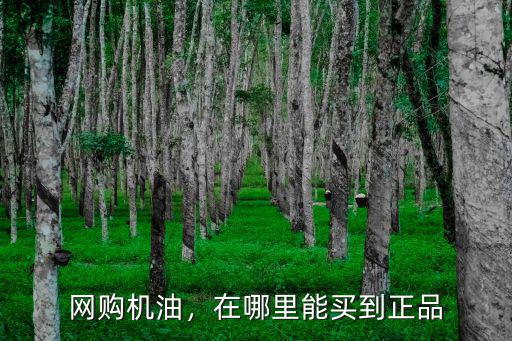 網購機油，在哪里能買到正品