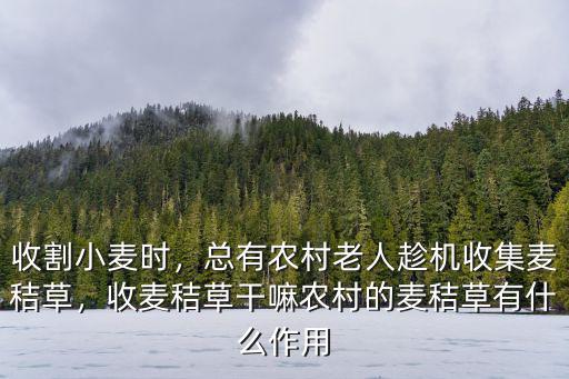 商丘哪里收麥秸,收麥秸草干嘛