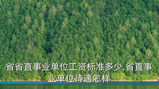 河南省省直事業單位工資標準多少,省直事業單位待遇怎樣