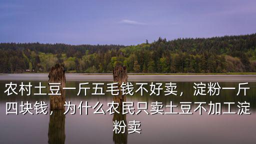 農村土豆一斤五毛錢不好賣，淀粉一斤四塊錢，為什么農民只賣土豆不加工淀粉賣