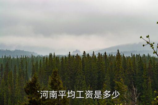 `河南平均工資是多少