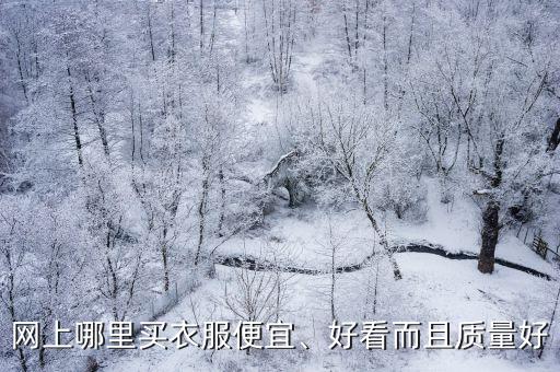 網上哪里買衣服便宜、好看而且質量好