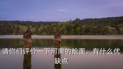 請你們評價一下河南的燴面，有什么優缺點